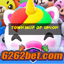 township of union