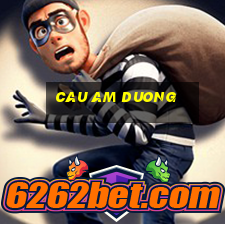 cau am duong