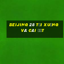 Beijing 28 Tải xuống và cài đặt