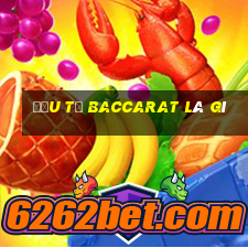 đầu từ baccarat là gì