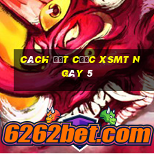 Cách đặt cược XSMT ngày 5