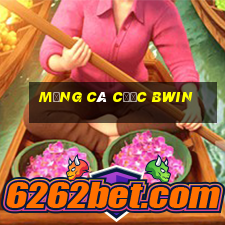 Mạng cá cược bwin