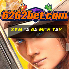 xem đá gà miền tây