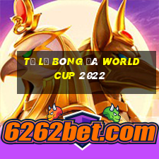 tỷ lệ bóng đá world cup 2022