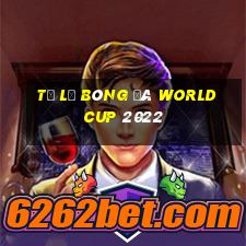 tỷ lệ bóng đá world cup 2022