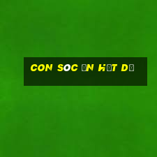 con sóc ăn hạt dẻ