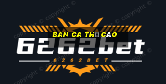 ban ca thẻ cào