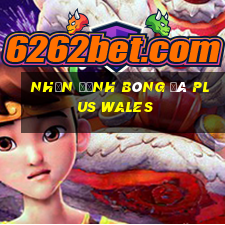 nhận định bóng đá plus wales