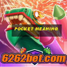 Pocket meaning