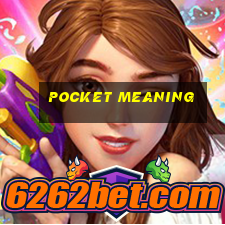 Pocket meaning