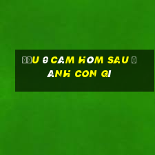 đầu 0 câm hôm sau đánh con gì