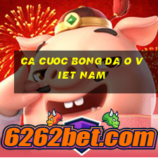 ca cuoc bong da o viet nam