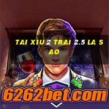 tai xiu 2 trai 2.5 la sao