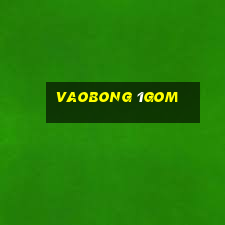 vaobong 1gom