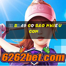 đề bộ 49 có bao nhiêu con