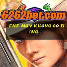 file mkv không có tiếng