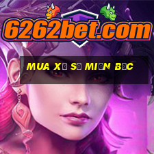 Mua xổ số miền bắc