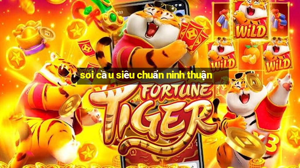 soi cầu siêu chuẩn ninh thuận