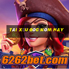 tài xỉu góc hôm nay