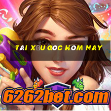 tài xỉu góc hôm nay