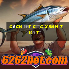 Cách đặt cược XSHN thứ tư