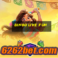 bingo live fun