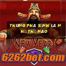 thùng phá sảnh là như thế nào