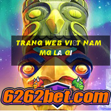 Trang web Việt nam MG là gì