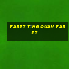 fabet tổng quan fabet