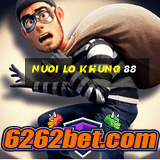 nuoi lo khung 88