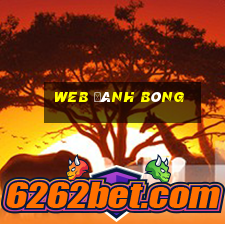 web đánh bóng