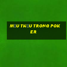 Mậu thầu trong poker