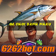 ga choi danh nhau