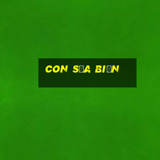 con sứa biển