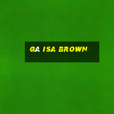 gà isa brown