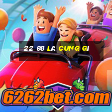 22 08 là cung gì