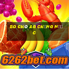 Bo chó ag chống nước