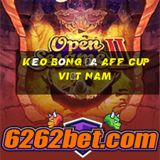 kèo bóng đá aff cup việt nam