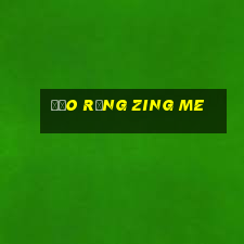 đảo rồng zing me