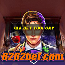 gia bet tuoi cay