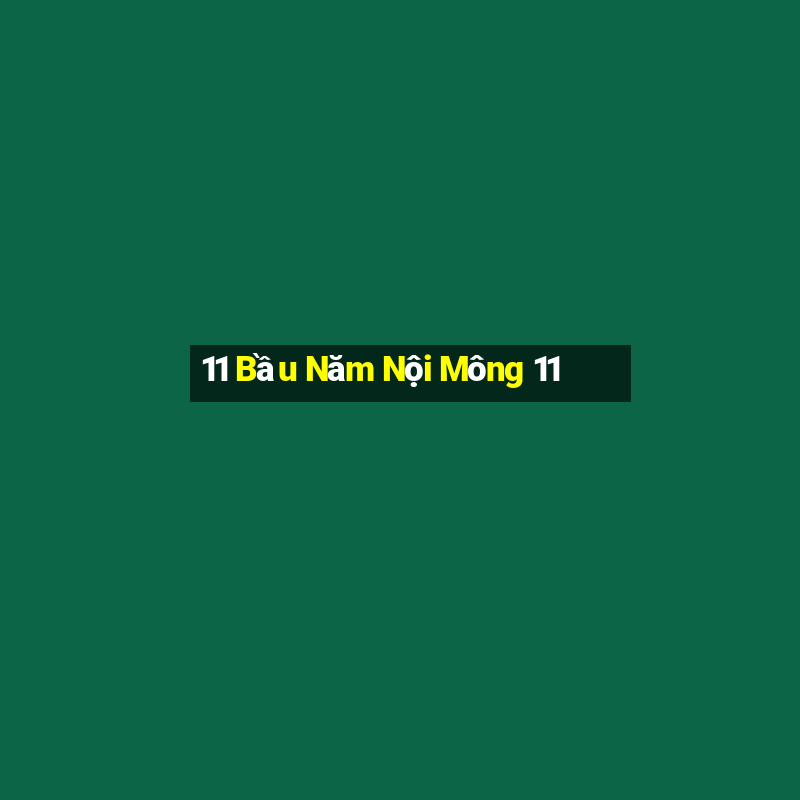 11 Bầu Năm Nội Mông 11