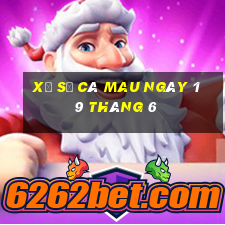 xổ số cà mau ngày 19 tháng 6