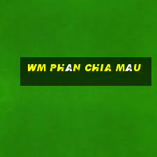 wm phân chia màu