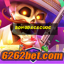 bongdacacuoc