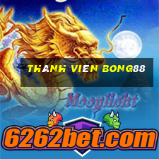 thành viên bong88