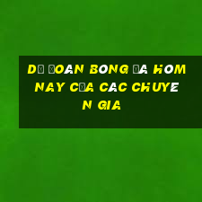 dự đoán bóng đá hôm nay của các chuyên gia