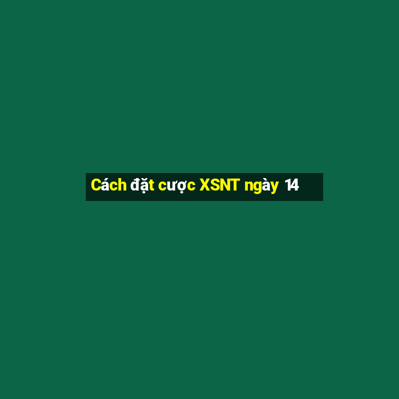 Cách đặt cược XSNT ngày 14