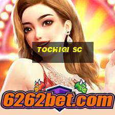 tochigi sc