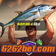 bongda888