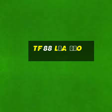 tf88 lừa đảo